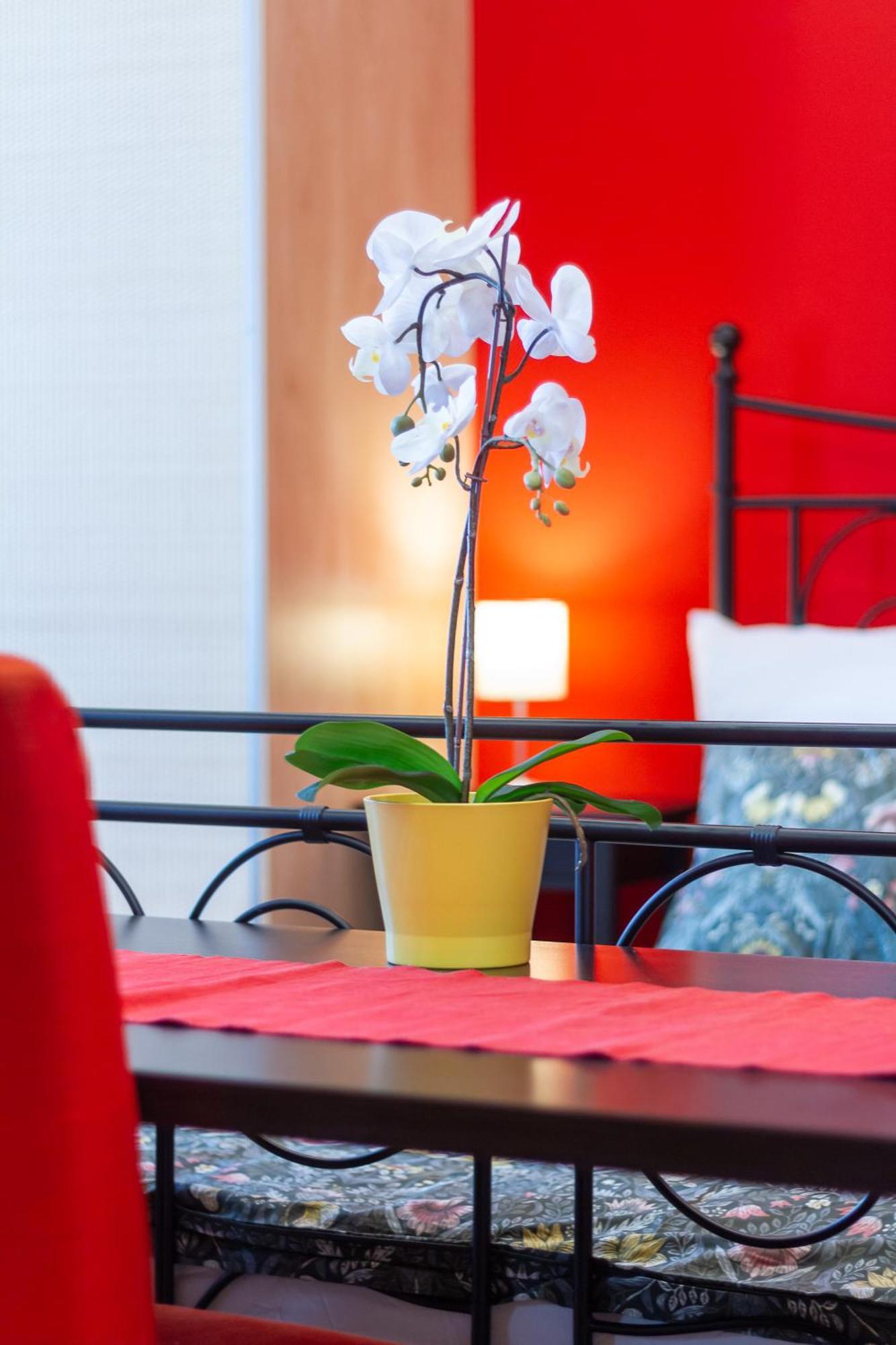 Badepest Apartment بودابست المظهر الخارجي الصورة